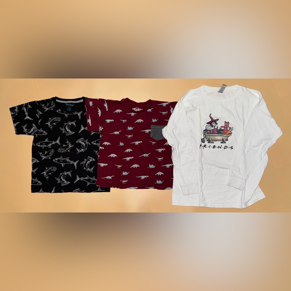 Lot of 3 Boys Graphic T-Shirts, Size M & L; Sharks/ Dinosaurs/ Friends